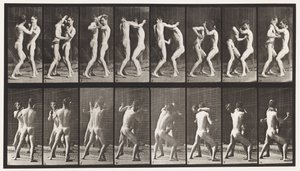 Boxing; Open Hand by Eadweard Muybridge