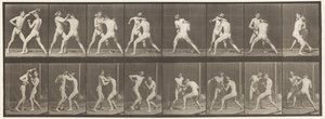 Boxing; Open Hand, 1872-1885 by Eadweard Muybridge