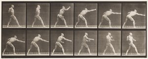Plate 344. Striking a Blow (Right Hand) by Eadweard Muybridge