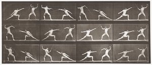 Fencing by Eadweard Muybridge