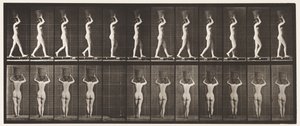 Plate 34. Walking