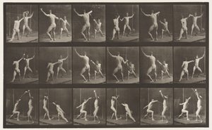 Plate 350. Fencing by Eadweard Muybridge