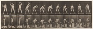 Plate 376. Blacksmith, Hammering on Anvil, Two Hands by Eadweard Muybridge