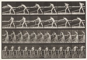 Carpenter, Planing a Board, 1872-1885 by Eadweard Muybridge