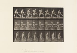 Carpenter, Sawing by Eadweard Muybridge