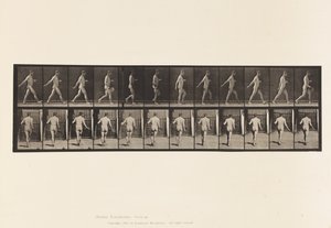 Farmer, Scattering Seed by Eadweard Muybridge