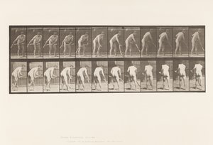 Farmer, Mowing Grass by Eadweard Muybridge