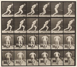 Pushing a Garden Roller by Eadweard Muybridge