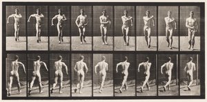Plate 3. Walking by Eadweard Muybridge