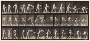 Plate 402. Emptying Basin of Water by Eadweard Muybridge