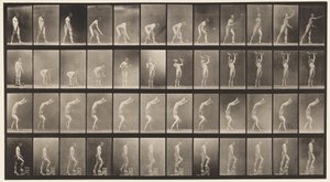 Lawn Tennis; Dumb Bells; Walking on Hands by Eadweard Muybridge