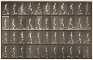 Plate 489. Ascending Incline, 1872-1885 by Eadweard Muybridge