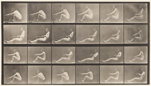 Plate 492. A by Eadweard Muybridge