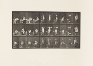 Plate 494. Miscellaneous Phases of the Toilet by Eadweard Muybridge