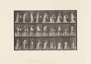 Plate 496. Miscellaneous Phases of the Toilet, 1885