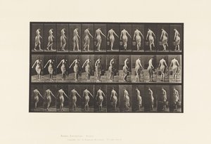 Plate 50. Walking, Carrying a Bucket by Eadweard Muybridge