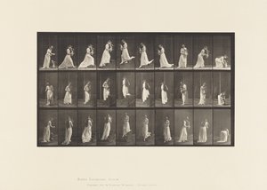 Ascending and Descending Stairs by Eadweard Muybridge