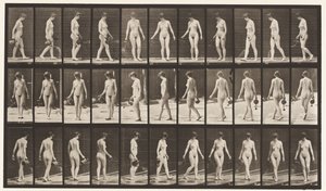 Walking, and Turning Around, Using Sprinkling Pot by Eadweard Muybridge