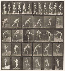 Walking; Ascending Step; Throwing Disk by Eadweard Muybridge
