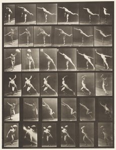 Plate 523. Striking a Blow; Throwing Disk by Eadweard Muybridge