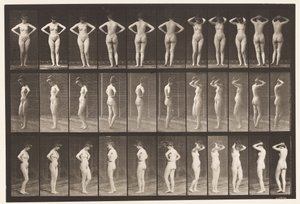 Plate 531. Various Poses by Eadweard Muybridge