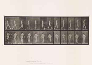 Locomotor Ataxia; Walking by Eadweard Muybridge