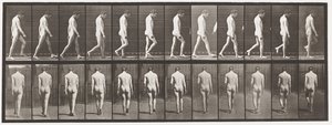 Epilepsy; Walking by Eadweard Muybridge