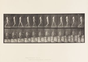 Epilepsy; Walking by Eadweard Muybridge