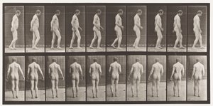 After Traumatism of Head; Walking by Eadweard Muybridge