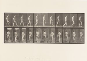 Locomotor Ataxia; Walking by Eadweard Muybridge