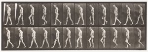 Muscular Atrophy of Legs; Adult, Walking by Eadweard Muybridge