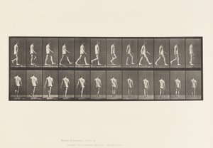 Locomotor Ataxia; Walking by Eadweard Muybridge