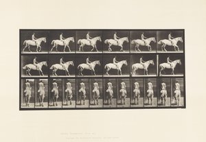 Walking; Saddle; Rider, 43, Nude; Light-Gray Horse Smith (Plate 582)