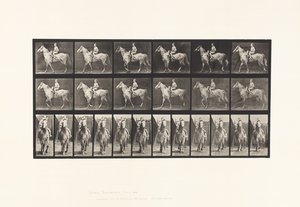 Walking; Saddle; Female Rider; Nude; Gray Horse Tan, 1885