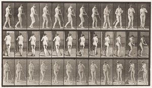 Walking, Turning Around Sweeping the Floor by Eadweard Muybridge
