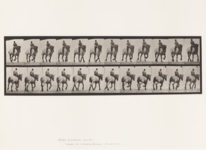 Trotting; Bareback; Dark-Gray Dusel (Plate 599)