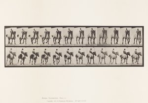 Plate 600. Trotting; Bareback; Dark-Gray Dusel