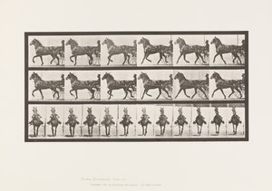 Trotting; Sulky; Bay Horse, Dereumd (Plate 612) by Eadweard Muybridge