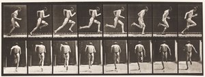 Plate 61. Running at Full Speed by Eadweard Muybridge