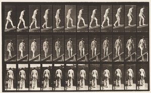 Plate 76. Ascending Incline by Eadweard Muybridge