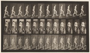 Plate 81. Ascending Incline by Eadweard Muybridge