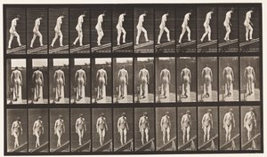 Ascending Incline by Eadweard Muybridge
