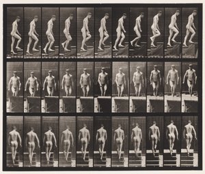 Ascending Stairs by Eadweard Muybridge