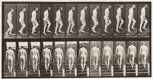 Plate 89. Ascending Stairs by Eadweard Muybridge