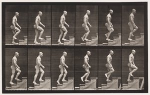 Plate 91. Ascending Stairs by Eadweard Muybridge