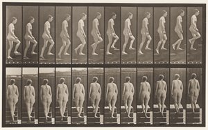 Plate 92. Ascending Stairs by Eadweard Muybridge