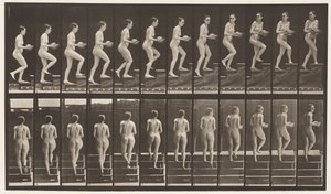 Plate 94. Ascending Stairs Looking Around; Basin in Hands by Eadweard Muybridge
