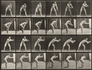 Plate Number 280. Baseball, Catching by Eadweard Muybridge