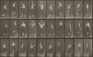 Plate Number 504. Ascending and Descending Stairs by Eadweard Muybridge