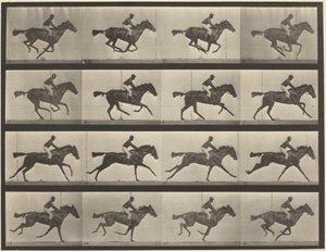 Plate Number 626. Gallop, Thoroughbred Bay Mare, Annie G. by Eadweard Muybridge